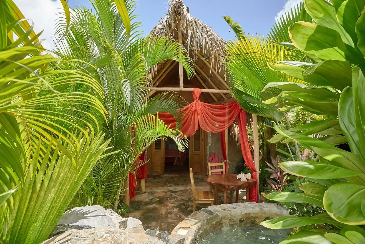 Chalet Tropical Hotel & Restaurant-Pizzeria 4*, Las Galeras Den Dominikanske Republik