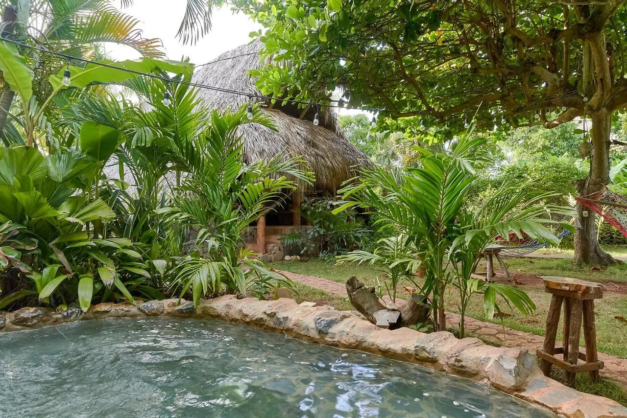 Chalet Tropical Hotel & Restaurant-Pizzeria 4*, Las Galeras Den Dominikanske Republik
