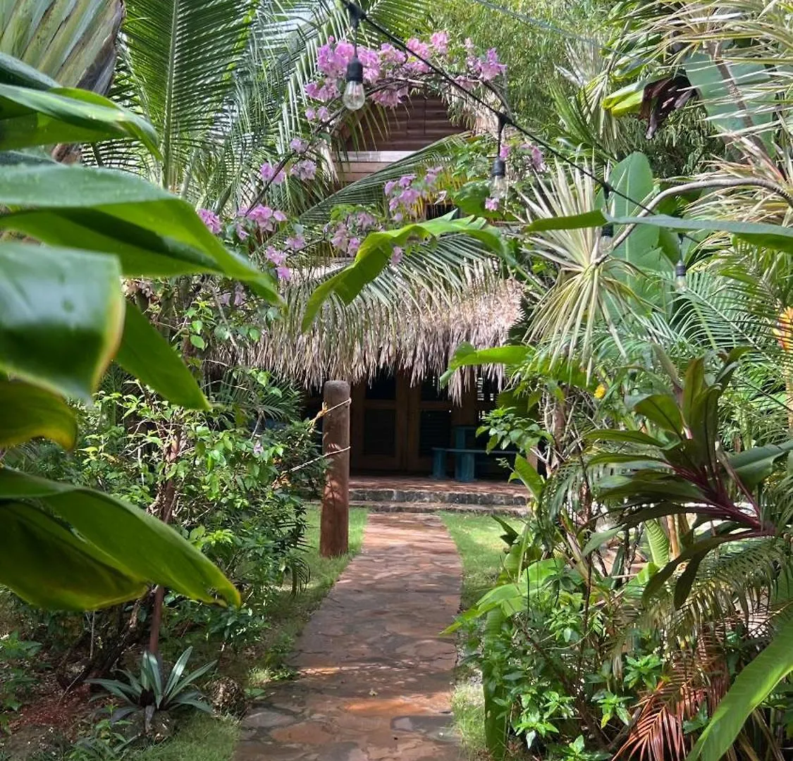 **** Bed & Breakfast Chalet Tropical Hotel & Restaurant-Pizzeria Las Galeras Dominican Republic